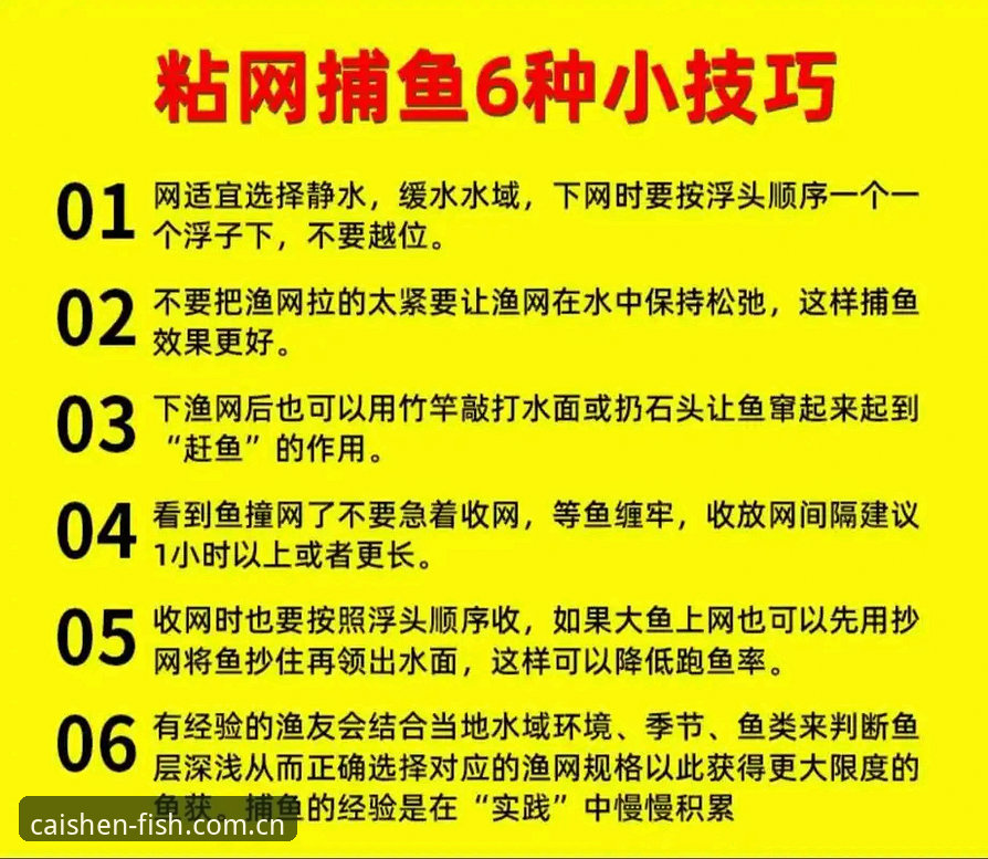 财神捕鱼流畅操作进阶教程：从新手到高手的捕鱼技巧全解析