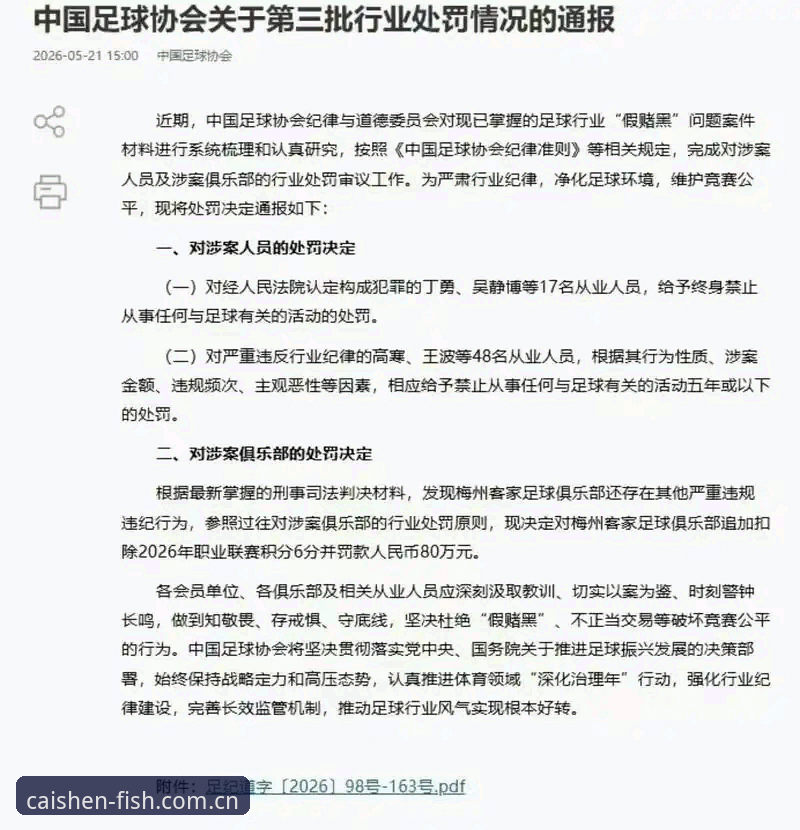 中国足协第三批禁足名单最新动态：17人终身禁足，48人遭行业禁赛，财神捕鱼手机适配带你直击赛场风云